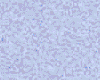 AXg^bNFfB[vu[XOFPO
