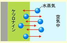 水性 結露防止 塗料 ケツロナイン【上塗り塗料】 塗料・塗装機器の